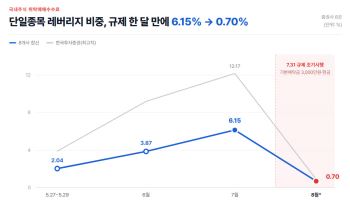 삼전·하이닉스 레버리지 탄 개미 계좌 30% 손실