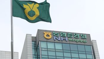 사과·배·대추 ‘반값’…농협, 추석 할인에 877억원 투입