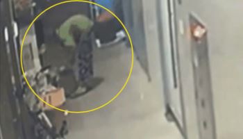 새벽마다 사라진 계란 한 판…CCTV 확인하고 '말문 턱' 