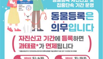 반려견 등록 안 했다면 10월까지 자진신고…과태료 면제
