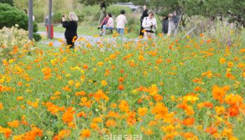 구름 낀 초가을…큰 기온 차 주의[내일날씨]