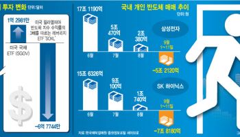 개미들 삼전닉스 13조 팔았다…'반도체 올인' 멈춘 이유