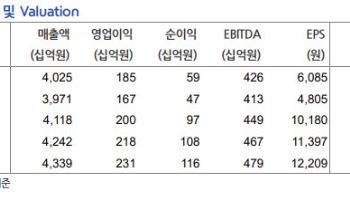새로·제로탄산 잘 나가는데...롯데칠성, 목표가 뚝, 왜?