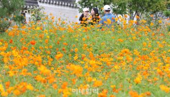 쾌청한 가을 하늘…다만 일교차는 커 '주의'