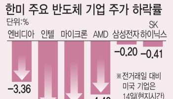 미중 'AI 치킨게임' 번진다…"K칩 수요 유지할 것"