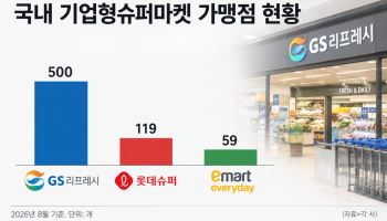 '1년째 역성장' SSM, 가맹점 앞세운 점포 확대로 '승부수'