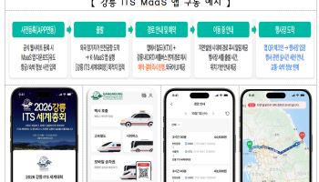 강릉 찾는 외국인, 철도·버스·택시 앱 하나로 쓴다