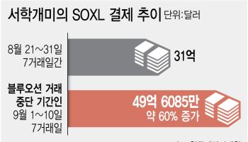 [단독]서학개미 ‘레버리지 사랑’에…美 거래 막던 ‘5% 빗장’ 풀렸다