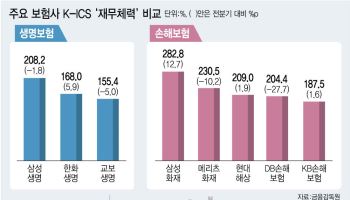 보험사 킥스 200% 웃돌지만…속살 보니 ‘재무체력’ 천차만별