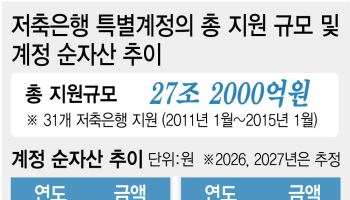  저축은행 부실사태 정리, 16년 만에 끝내나 했더니…국회, 특별계정 연장 ‘제동’