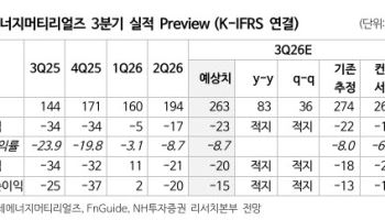 롯데에너지머티리얼즈, 적자 내년 1분기까지 지속...목표가는 8% 상향 '왜'?