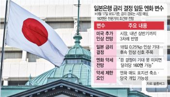 美 긴축에 엔화 급락…BOJ, 금리 올리나