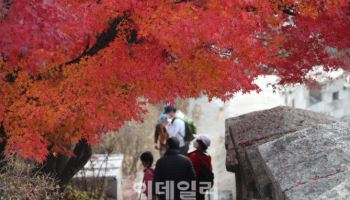 이달 30일 설악산서 단풍 시작···작년보다 빨라져
