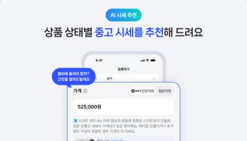 “얼마에 팔까, 병원 언제 갔지, 대출 뭐가 싸지”…네이버 AI가 돕는다