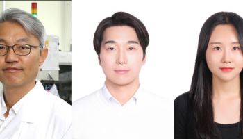 태양전지 고르게 코팅했더니…효율 높이고 내구성 55% 개선