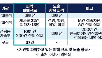 구글에 불법촬영물 지워달랬더니…피해자 신상 유출, 정부는 피해 규모도 몰랐다