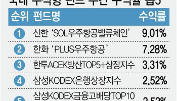 우주항공 ETF 불붙었다…스타십 뜨자 식었던 열기 '재점화'