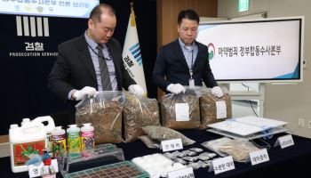 합성대마, 국내 유통 넘어 제조까지…신종 중간체 첫 확인