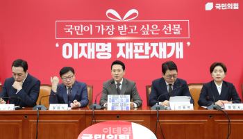 "김현지 국감 세울 것"…국힘, 추석 밥상에 '인사대참사' 공세 총력