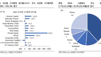“SEC 주식토큰화 혁신면제…국채 중심 RWA, 주식으로 확대”