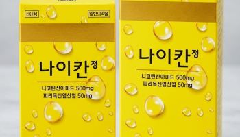경남제약, ‘나이칸정’ 출시…비타민 B6 보급·구내염 완화