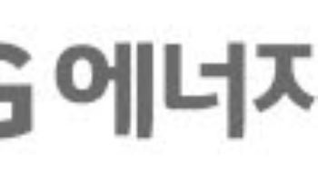 AI 데이터센터 전력난에 답 낸 엔비디아, LG엔솔 배터리 낙점