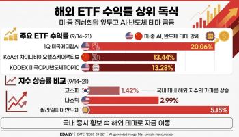 미·중 정상회담 기대감에…국내 상장 해외 ETF, 수익률 상위 싹쓸이