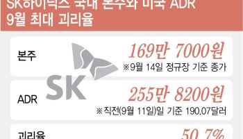 "SK하닉 '본주' 줍줍"…미국판 프리미엄 과열은 오히려 기회