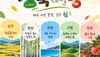 황금 다락논부터 붉은 사과밭까지…경북 가을을 ‘다섯 색’으로