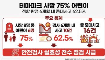 '적합' 판정 뒤 사망사고…테마파크 안전검사 무엇이 문제였나