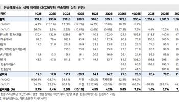 한솔테크닉스, 한솔윌텍 편입에 프로브카드 성장 본격화…재평가 기대-메리츠