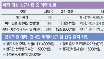 미래기금 신규사업 77개 중 예타 통과는 1건뿐