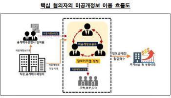 주가조작 합동대응단, 명문대 출신 '정보카르텔' 압수수색…"200억 부당이득 혐의"