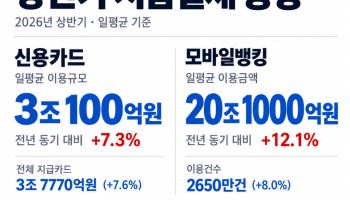 신용카드 하루 결제액 3조·모바일뱅킹 20조 첫 돌파