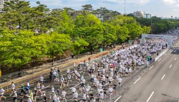 달리면 숲이 되고 폐플라스틱은 車부품으로…현대차·기아 '환경 동행'