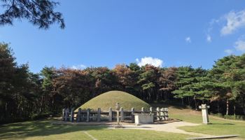 [르포] 해송 병풍 찢기고 속살 드러낸 산비탈…동해 솔숲 삼긴 '1㎜ 저승사자'