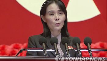김여정, DMZ 지뢰 폭발에 부인…"서울의 자작 광대극…실사격땐 보복"