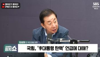 김성태, 장동혁 李 탄핵론에 “100명 모으기도 쉽지 않다”