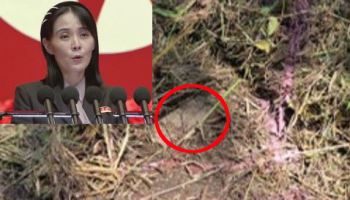 DMZ 폭발에 "자작광대극"…적반하장 北에 긴장 높아지는 한반도(종합 2보)