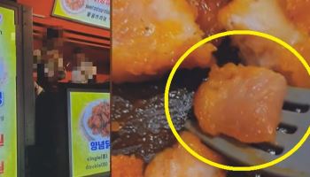 “이게 닭강정?” 선홍빛 속살에 물컹…또 여수섬박람회