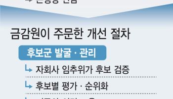 은행장 누가 뽑나… 금감원 '회장 힘 빼라'에 전문가 "책임 물어야"