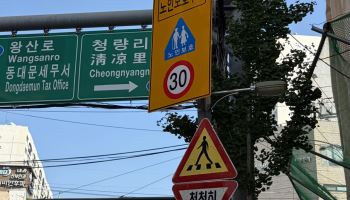 노인 보행사고 2년새 7배↑…아슬아슬 '실버존'