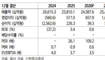 LG디스플레이, 환율·칩플레이션에 수익성 개선 지연…목표가 19%↓-신한