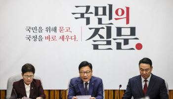 '정원오 칸쿤 의혹 제기' 김재섭 피의자 조사에…국힘 "국감 물타기수사"