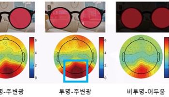 투명 OLED 안경, 주변광서 감마파 변화 가장 뚜렷…뇌 자극 가능성 확인