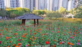 아침 출근길 3도까지 '뚝'…전국 맑고 화창[내일날씨]