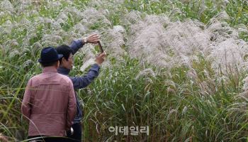 찬 이슬 맺히는 '한로' 아침 출근길 쌀쌀…맑고 쾌청한 하늘