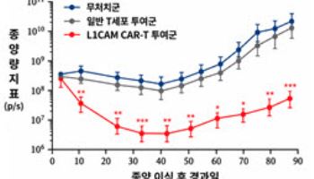 난소암·위암 겨냥한 CAR-T 가능성…L1CAM 표적 치료제 개발