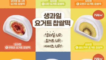 "250곳서 완판"…요아정 ‘생과일 요거트 찹쌀떡’ 전국 판매 확대