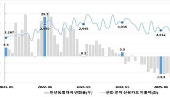 "영화·뮤지컬 보러 갈 돈 아까워"...너도나도 지갑 닫았다